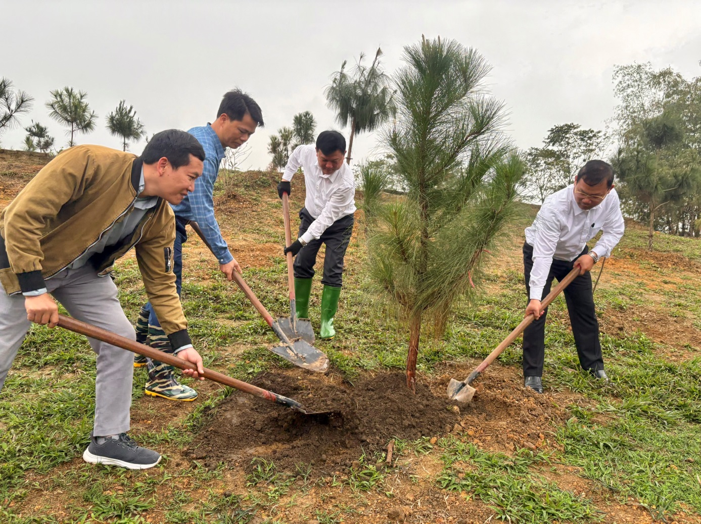 D:\Nam hoc 2025 - 2026\Tin tuc, Su kien\14 Gap mat dau xuan va Tet trong cay\z7558761975161_5ca4a7cef3fa504841b43551e92fa776.jpg