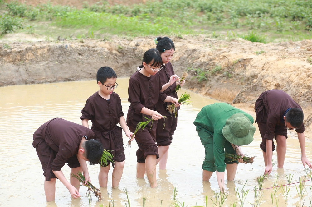 Ảnh bài viết